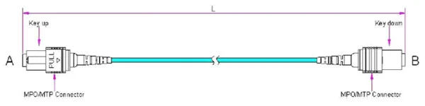 پچ-کورد-mtp-mpo